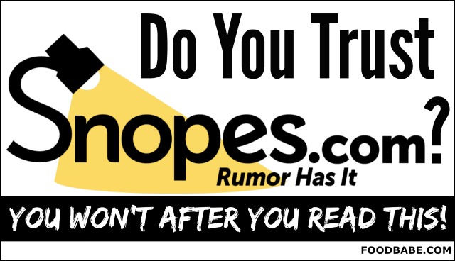can-you-trust-snopes