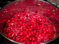 Don’t Get Your Cranberry Sauce Out Of A Can (Homemade Cranberry Sauce Is Way Better!)