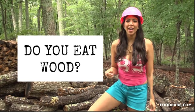 Do You Eat Wood