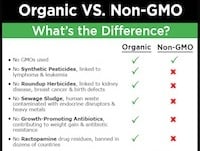 The Shocking Difference Between Organic & Non-GMO Labels – It’s Huge!