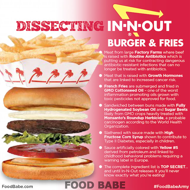 Dissecting In N Out Burger Gross Or Healthy You Decide